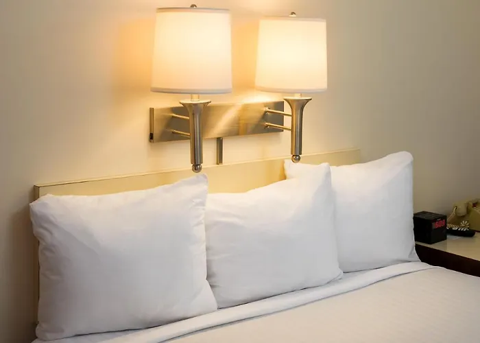 Best Hotels in Butte MT for Unforgettable Stays