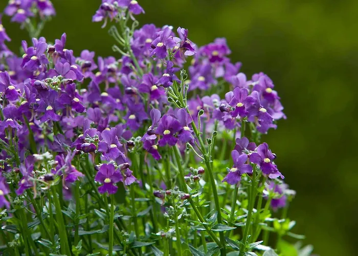 Best Hotels in Inverness, Scotland