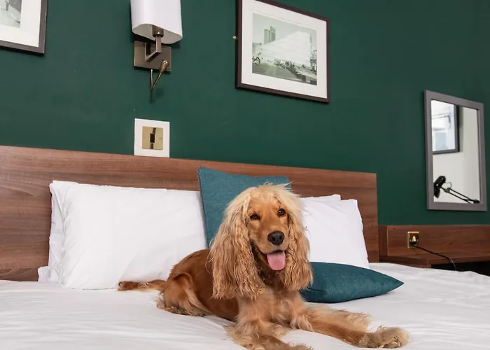 Finest Hotels Near Castlefield Manchester