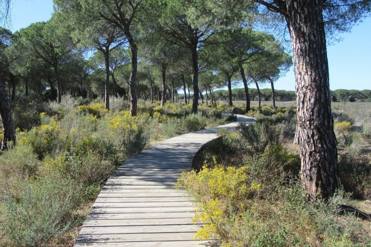le parc national de Donana